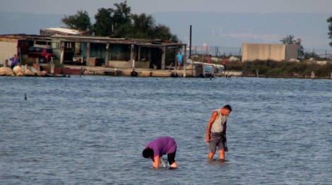 Fishing in the mud near Port St. Louis, France.