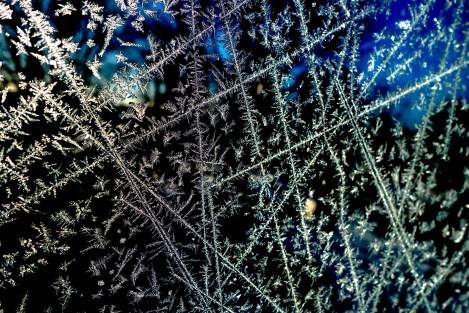 Ice crystals on the window.